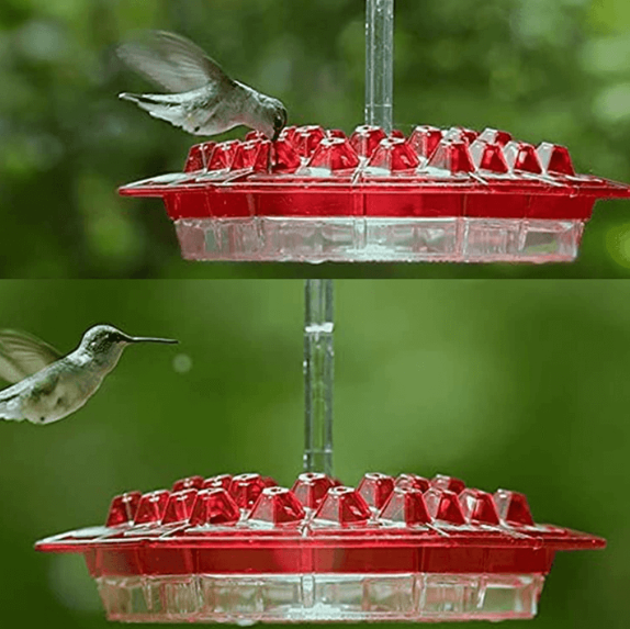 Outdoor Hanging Hummingbird Feeder with Ant Guard Nectar Tray