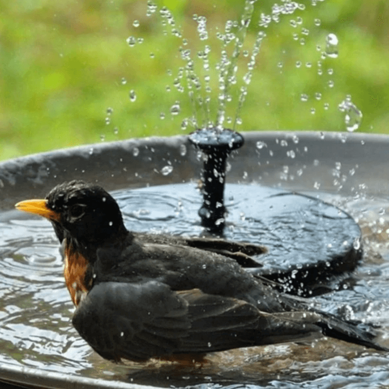 Solar Fountain Pump with LED Lights Outdoor Water Feature