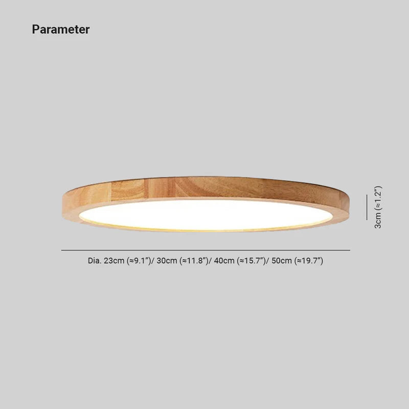 Versatile Minimalist Dimmable LED Ceiling Light for Home