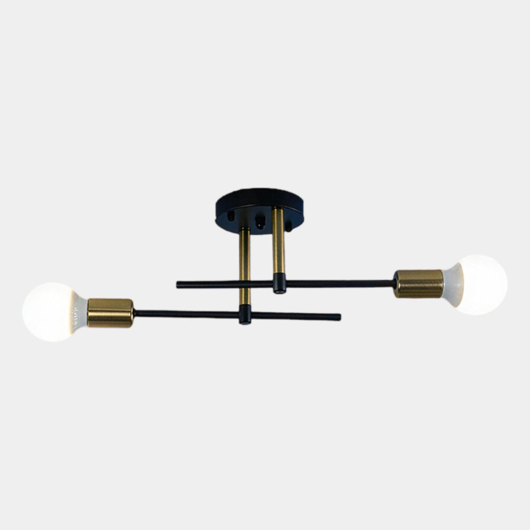 Modern 2-Light Ceiling Lamp | Black & Gold Flush Mount Chandelier