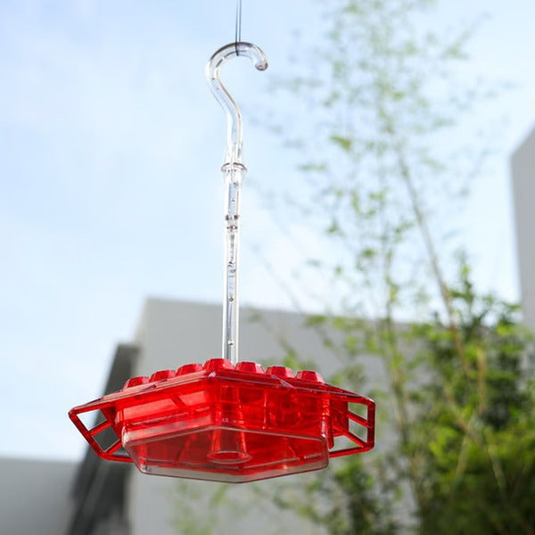 Hummingbird Feeder with Ant Moat Hanging Nectar Feeder
