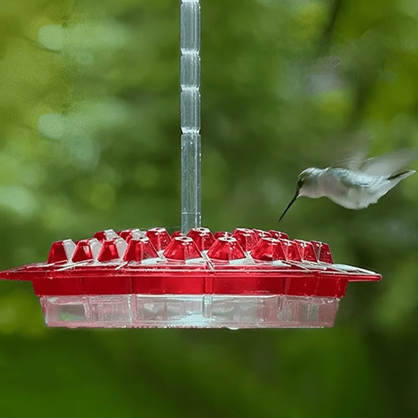Hummingbird Feeder with Ant Moat Hanging Nectar Feeder