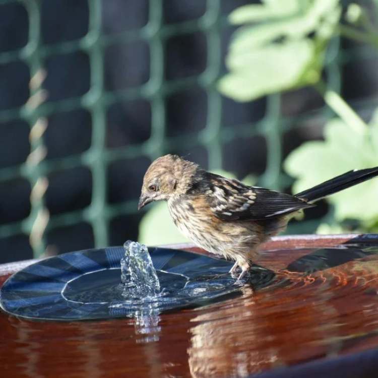 Floating Solar Fountain Pump for Garden Ponds and Bowls